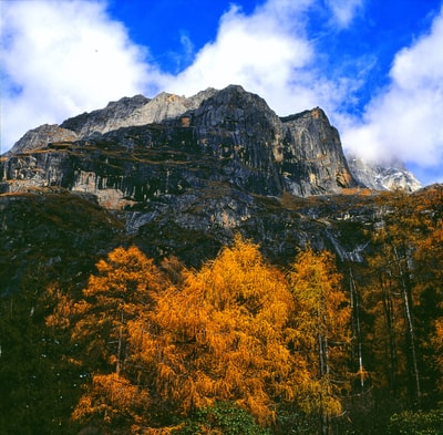 黄树山附近
